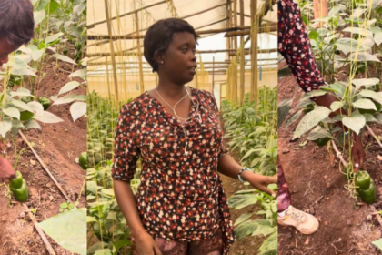 FarmLife Rwanda farm visit