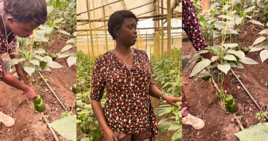 FarmLife Rwanda farm visit